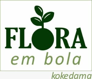 Flora em Bola Kokedama